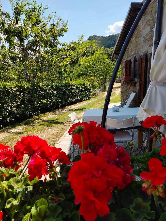 La Sala Vecchia - Lovely Tuscan Holiday House Badia Prataglia, Casentino Valley Chiusi della Verna Exterior photo